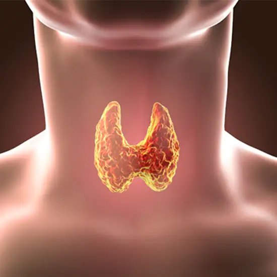thyroid profile free
